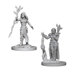 Nolzur's Marvelous Miniatures - Human Druid